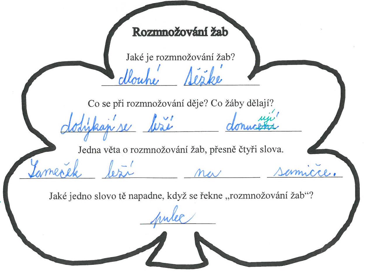 pětilístek3