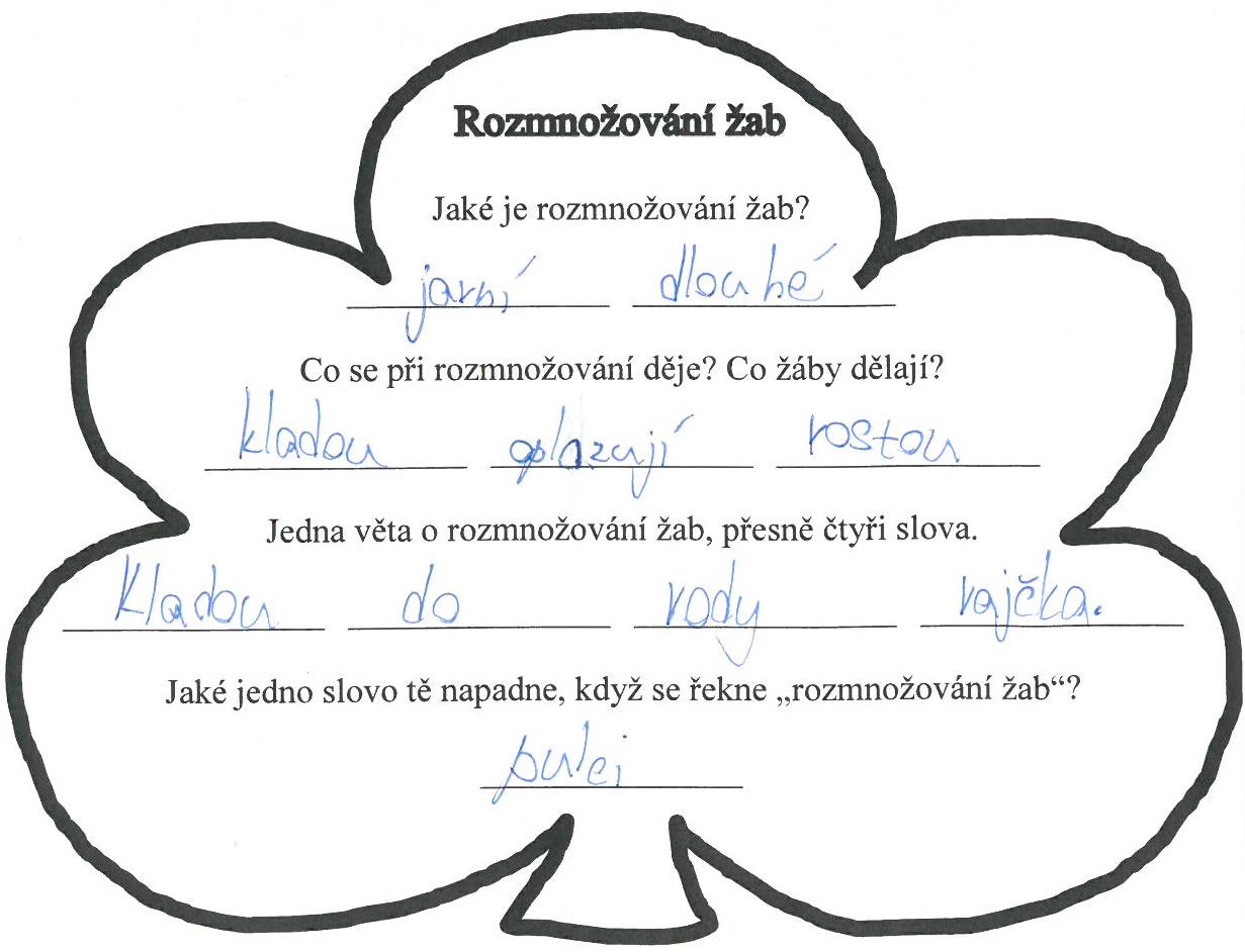 pětilístek4