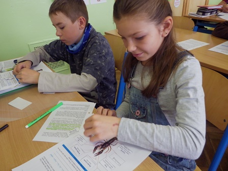 2016_05_16_rak_říční_2_práce_s_textem_03