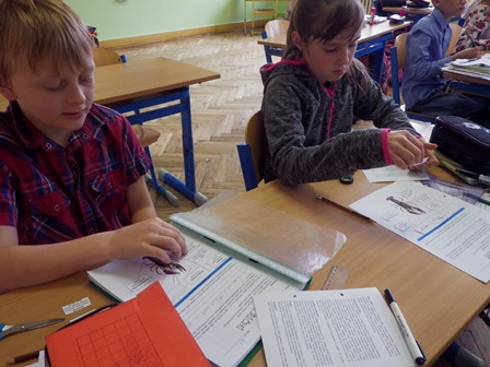 2016_05_16_rak_říční_2_práce_s_textem_04